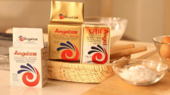 安琪酵母投资印尼305亿设立子公司：印尼